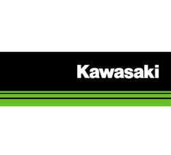 India Kawasaki Motors